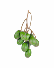 Load image into Gallery viewer, Nutrition Kingz Exotics Ltd Jocote Fruit