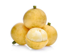 Load image into Gallery viewer, Burmese Grape Nutrition Kingz Exotics Ltd