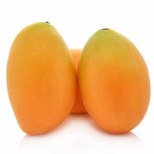 Load image into Gallery viewer, Marian Plum (Plum Mango) Gandaria Nutrition Kingz Exotics Ltd
