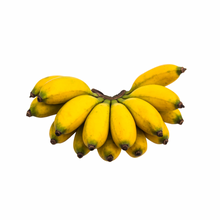 Load image into Gallery viewer, Banana Variety Box Nutrition Kingz Exotics Ltd