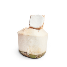 Load image into Gallery viewer, Young Thai Coconut Nutrition Kingz Exotics Ltd