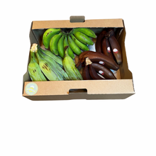 Load image into Gallery viewer, Banana Variety Box Nutrition Kingz Exotics Ltd