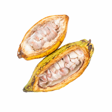 Load image into Gallery viewer, Cacao Fruit Pod (Yellow) St Lucia Nutrition Kingz Exotics Ltd