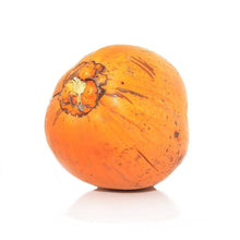 Load image into Gallery viewer, King Coconut (Sri Lanka) ‘red dwarf’ Nutrition Kingz Exotics Ltd