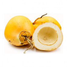 Load image into Gallery viewer, King Coconut (Sri Lanka) ‘red dwarf’ Nutrition Kingz Exotics Ltd