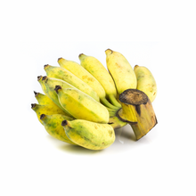 Load image into Gallery viewer, Burro Banana (Bluggoe Banana) Nutrition Kingz Exotics Ltd
