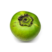 Load image into Gallery viewer, Black Sapote (Chocolate Pudding Fruit) Nutrition Kingz Exotics Ltd