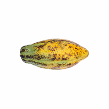 Load image into Gallery viewer, Cacao Fruit Pod (Yellow) St Lucia Nutrition Kingz Exotics Ltd