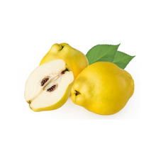 Load image into Gallery viewer, Quince Nutrition Kingz Exotics Ltd