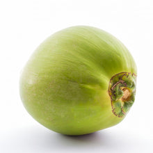 Load image into Gallery viewer, Jelly Coconut (Costa Rican) Nutrition Kingz Exotics Ltd