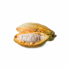 Load image into Gallery viewer, Cacao Fruit Pod (Yellow) St Lucia Nutrition Kingz Exotics Ltd