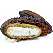 Load image into Gallery viewer, Cacao Fruit Pod (Ecuador) Nutrition Kingz Exotics Ltd