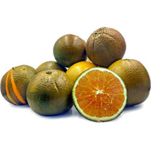 Load image into Gallery viewer, Navel Orange Nutrition Kingz Exotics Ltd
